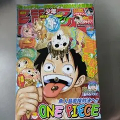 週刊少年ジャンプ 2008年13号 ONE PIECE巻頭カラー - メルカリ