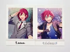 2026年最新】七種茨 ぱしゃこれの人気アイテム - メルカリ