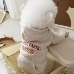 【送料無料】 サイズM 犬服 ドッグウェア 犬用フード あったかい 秋冬服