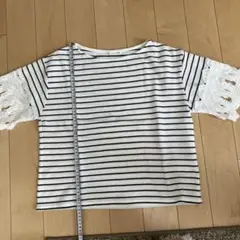 Item thumbnail for item d3aaf598-8049-4f08-b2f3-e91b8a7b95eb