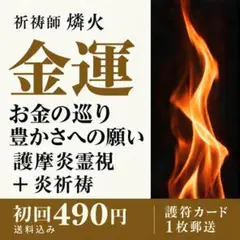 金運・財運 護摩炎霊視＋炎祈祷 霊視鑑定セット 実物護符カード