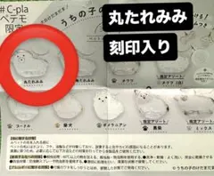 うちの子のけだまだま　丸たれみみ　犬のけだまだま