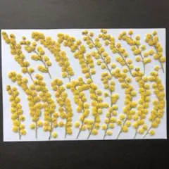 ららら様 リクエスト 2点 まとめ商品