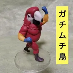 ガチムチ鳥　まとめ売り　バラ売りなし 2025年最新】ガチムチ鳥の人気アイテム - メルカリ