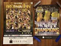 非売品】人気 琉球ゴールデンキングス ポスター 2枚セット - メルカリ