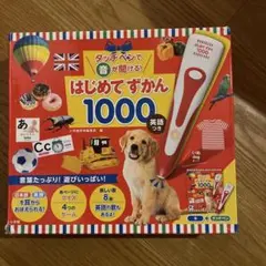 はじめてずかん1000 英語　箱＋本のみ