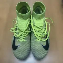 激レア廃盤⚠️】NIKEマックスフライ1 ライムグリーン 27.0 - メルカリ