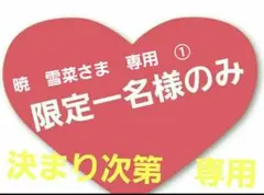 暁　雪菜様　専用　①