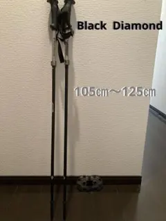 2025年最新】BlackDiamond スキー ストックの人気アイテム