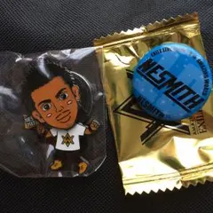 AW NESMITH 首振り 缶バッチ