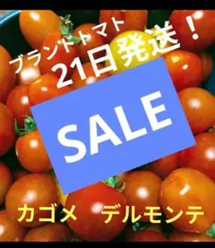 21日出荷！期間限定お試しセール！ブランドミニ＆ミディトマト　農薬無し品種混１㎏のサムネイル