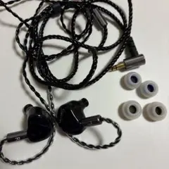 Kiwi Ears Cadenzaのサムネイル