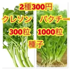 khatri様 リクエスト 4点 まとめ商品