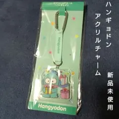 新品未使用 ハンギョドン アクリルチャーム ストラップ