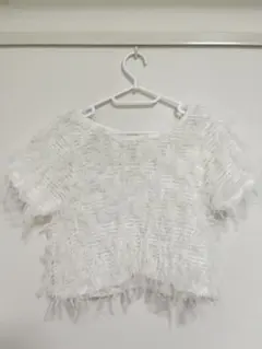【超美品❣️】【夏の大セール♡】archives シースルートップスのサムネイル