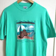 希少　80s USA製 Hanes BEEFY-T vintage Tシャツ