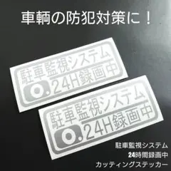【駐車監視システム 24時間録画中】 カッティングステッカー 2枚セット