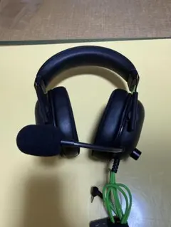 Item thumbnail for item eb271fc6-fa75-40f5-9b48-69faa309b930