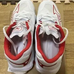 Mizuno WAVE LIGHTNING Z8 25.0cm