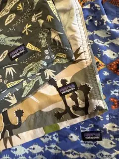 patagonia 3T バギーズショーツ 水着 ハーフパンツ