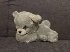四季オリジナル ぬいぐるみ シーズー 犬 中古品 寝そべりポーズ - メルカリ
