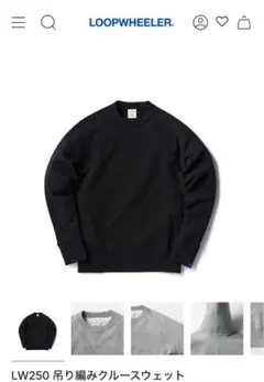 2025年最新】loopwheeler lw250の人気アイテム - メルカリ