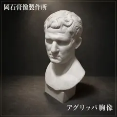 2026年最新】デッサン アグリッパの人気アイテム - メルカリ