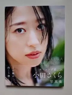 2026年最新】小田さくら 写真集の人気アイテム - メルカリ