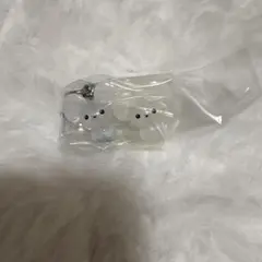 ポケモン めじるしアクセサリー2 ワッカネズミ ポケモンセンター