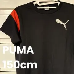 PUMA♪スポーツシャツ☆サイズ150cm