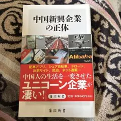 中国新興企業の正体