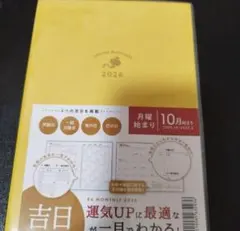 2026 럭키 데이 럭키 데이 일정 예약 머니 럭키 업 월요일부터 행운을 빕니다
