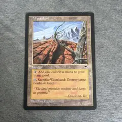 MTG 不毛の大地 Wasteland マジック・ザ・ギャザリング 英語版 - メルカリ