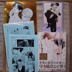 αの花嫁 4巻 特典 共鳴発情 箔 イラストカード