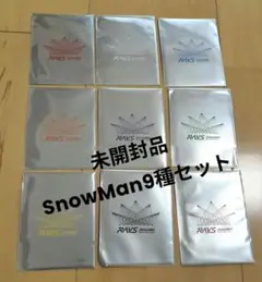 【新品✰︎未開封✰︎匿名配送】RAYS スノーマン チケット風カード 9枚セット SnowMan RAYSチケット風カード 9枚セット 新品未開封 SnowMan
