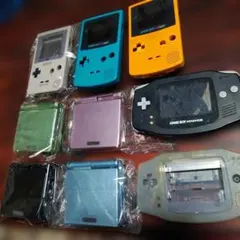 シェルのみまとめ売り