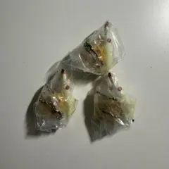ざわざわ森のがんこちゃん 　すいんぐこれくしょん　ツムちゃん