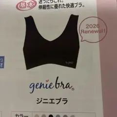 ジニエブラ 3XL サイズ 2点セット ホワイト.ブラック