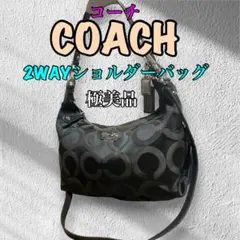 《極レア/オークション品》COACH 2WAY ショルダーバッグ ハンドバッグ