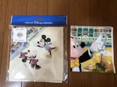 【新品未使用】ディズニーリゾート　パークマップ　ウォッシュタオル＆ショップ袋