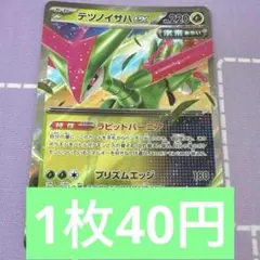テツノイサハex RR SV8a テラスタルフェスex 016/187 | Mercari