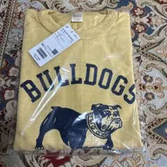 BEAMS PLUS別注　WAREHOUSE & CO.TシャツXLのサムネイル