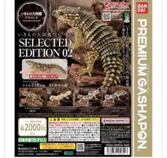 いきもの大図鑑アドバンス　レオパードゲッコー　バンディット