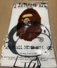 超希少・非売品】A BATHING APE メンズノンノ懸賞当選品 Tシャツ 