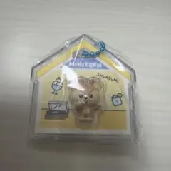 MINITEEN ミニティーン パッケージチャーム ジョシュア