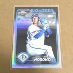 Item thumbnail for item c04700d9-092c-420d-a8ef-6de4eb7526ae