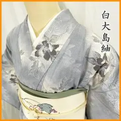 2026年最新】白大島 大島紬の人気アイテム - メルカリ