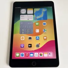 iPad mini5 Wi-Fi+Cellular モデル 256GB