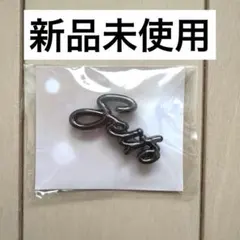 【新品未使用】MAZZEL SEITO カーシヴブローチ Only You