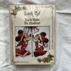 東京ディズニーリゾート クリスマス 2022 今治タオル セット